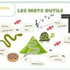 Orthographe illustrée - les mots outils